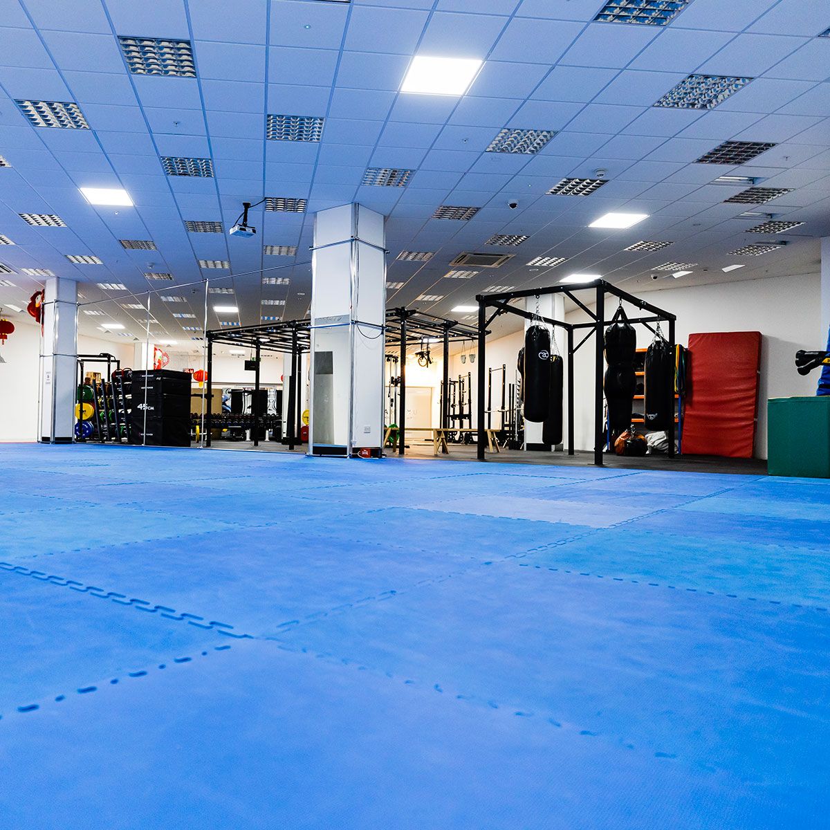 UK Shaolin Gym Training Zone